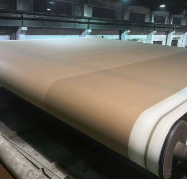 limpieza de fieltro de prensa