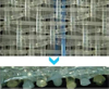 Tejido formador de 1,5 capas para fabricación de papel